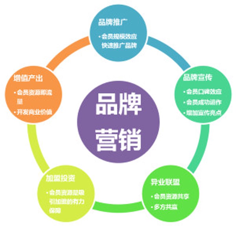 软文营销：打造品牌故事的力量
